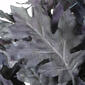 National Tree 28in. Halloween Oak Leaf Wreath - image 3