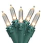 Northlight Seasonal 100 Warm White LED Mini Christmas Lights - image 1