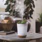 Candle Warmers Etc. Potted Succulent Essential Oil Diffuser - image 3