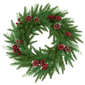 Northlight Real Touch™ 24in. Wind River Fir Christmas Wreath - image 2