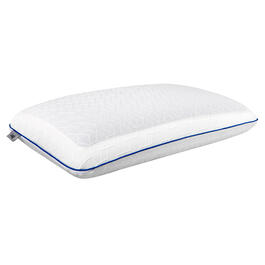 Sealy Cool Gel Memory Foam Pillow w/ Cover