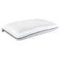 Sealy Cool Gel Memory Foam Pillow w/ Cover - image 1
