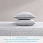 Tommy Bahama Kew Palms 200TC 4pc. Cotton Percale Sheet Set - image 4