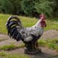 Northlight Seasonal 17in. Standing Rooster Outdoor Garden Statue - image 2