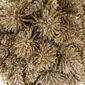Northlight Seasonal 6in. Glittered Christmas Gold Ball Ornament - image 3