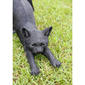 Hi-Line Gift Black Cat Stretching Garden Statue - image 4