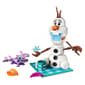 LEGO® Disney™ Olaf & Bruni''s Picnic Fun Building Kit - image 2