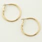 Freedom Nickel Free Medium Gold Hoop Earrings - image 1