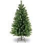 National Tree 4ft. North Valley&#40;tm&#41; Spruce Tree - image 1