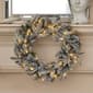 Seasonal LLC LED Lexington Fir 24in. Artificial Christmas Wreath - image 1