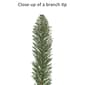 Puleo International 4ft. Pre-Lit Pine Christmas Trees - Set of 2 - image 6