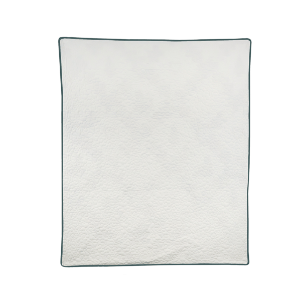 Donna Sharp Cacti Throw