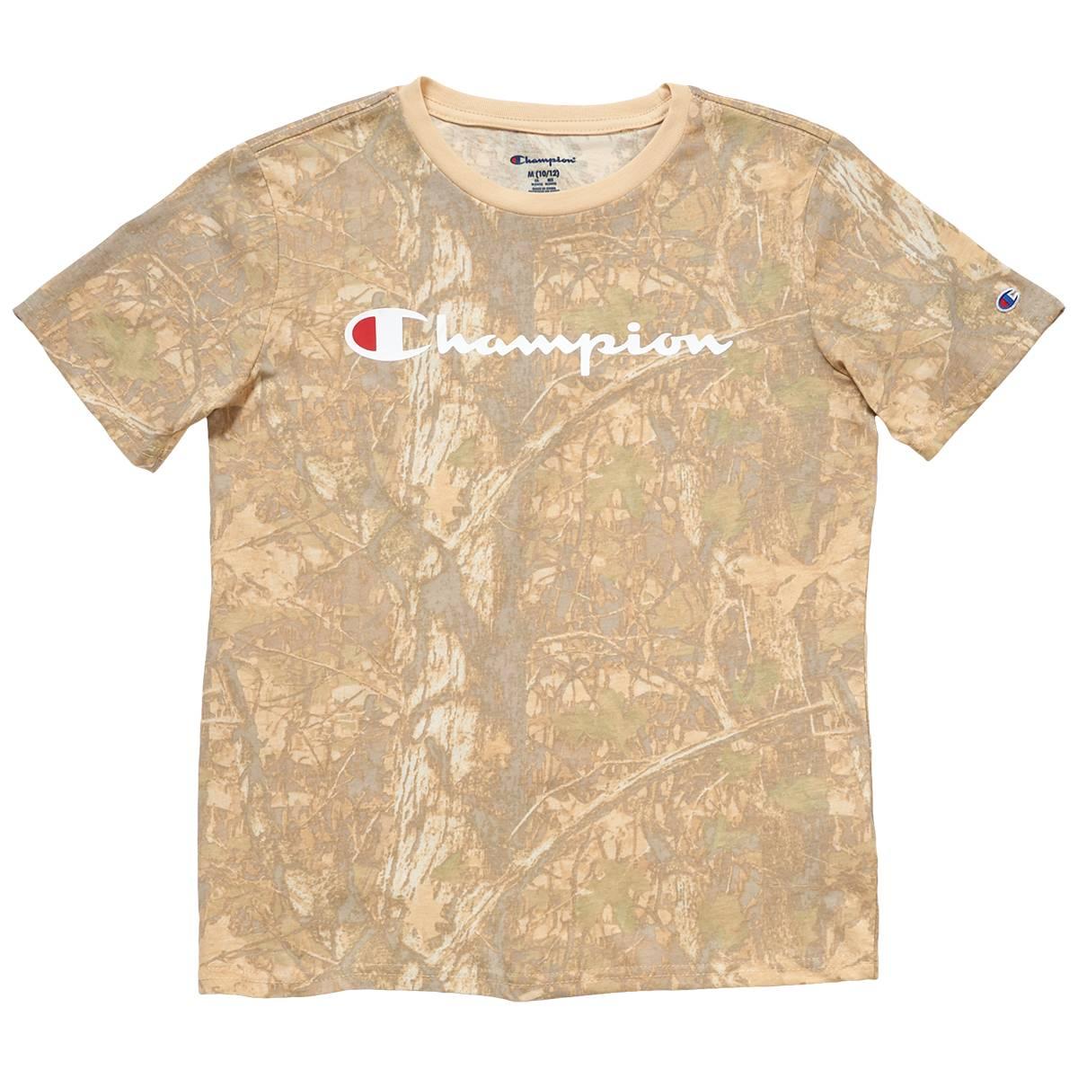Boys (8-20) Champion(R) Graphic Tee - Wood Ash