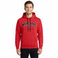 Mens Champion UMD Pullover Hoodie - image 1