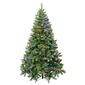 National Tree 6ft. Sagamore Pre-Lit Christmas Tree w/Multi LED - image 1