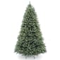 National Tree 6.5ft. Pre-Lit Douglas&#40;R&#41; Blue Fir Tree - image 1