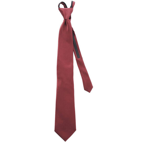Mens Architect&#40;R&#41; Sateen Solid Zipper Tie - image 