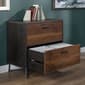 Sauder Canton Lane 2-Drawer Lateral File Cabinet - image 2