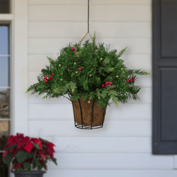 Northlight LED Red Berries & Mixed Pine Hanging Christmas Basket
