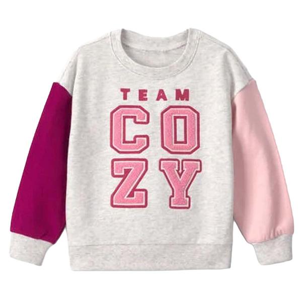 Toddler Girl Carter''s(R) Team Cozy Pullover Sweatshirt