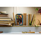 LEGO® Icons Bookstore: Book Nook - image 20