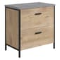 Sauder Market Commons 2-Drawer Lateral File Cabinet - image 1