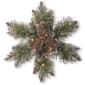 National Tree 14in. Glittery Bristle&#40;R&#41; Pine LED Snowflake - image 1