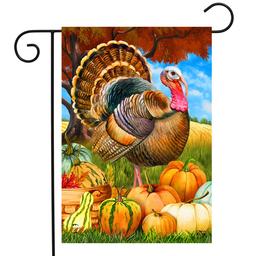 Briarwood Lane Turkey & Pumpkins Garden Flag