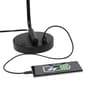 Lalia Home Studio Loft Modern Iron USB Port Matte Desk Lamp - image 6