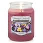 Yankee Candle(R) Sweet Violet & Basil 19oz. Jar Candle - image 1