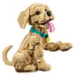 LEGO® Icons Golden Retriever Puppy - image 3