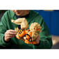 LEGO® Pokémon™ Arcanine Building Kit - image 9