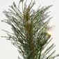 National Tree 6.5ft. Pre-Lit Glittery Pine Christmas Tree - image 3