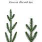 Puleo International 7.5ft. Pre-Lit Artificial Christmas Tree - image 6