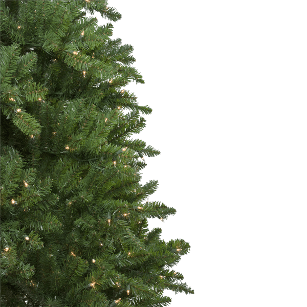 Northlight 10ft. Pre-Lit Slim Eastern Pine Christmas Tree
