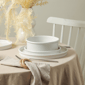Stone Lain Roscoe 12pc. Stoneware Dinnerware Set - image 2
