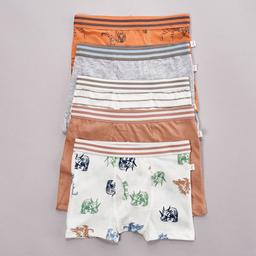 Toddler Boy Poppy & Clay 5pk. Wanderer Stripe & Dino Boxer Briefs