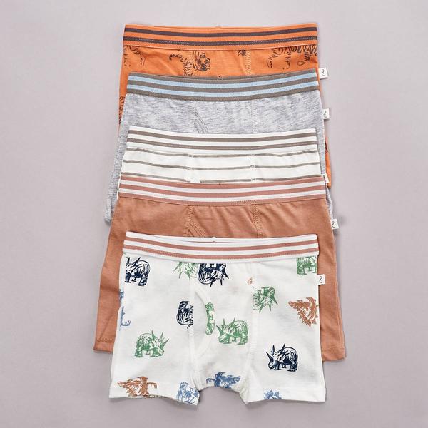 Toddler Boy Poppy & Clay 5pk. Wanderer Stripe & Dino Boxer Briefs - image 