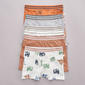 Toddler Boy Poppy & Clay 5pk. Wanderer Stripe & Dino Boxer Briefs - image 1