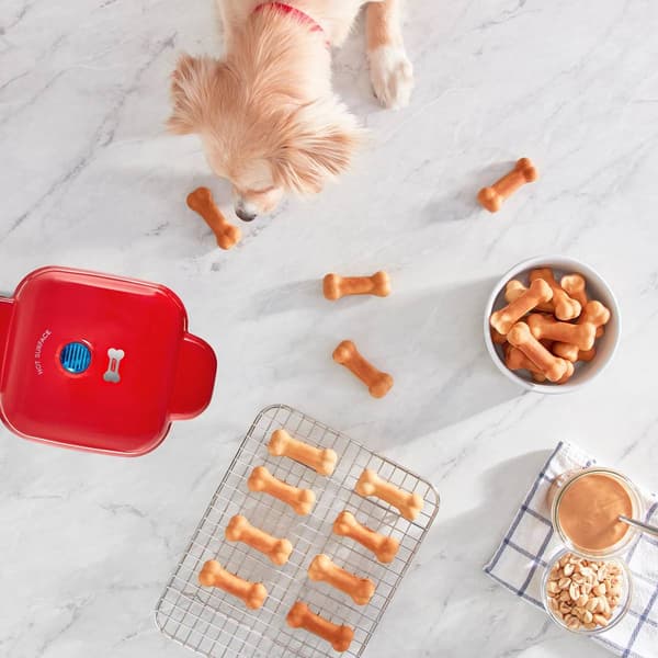 Dash Mini Dog Treat Maker