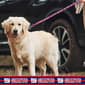 NFL New York Giants Dog Leash - image 2
