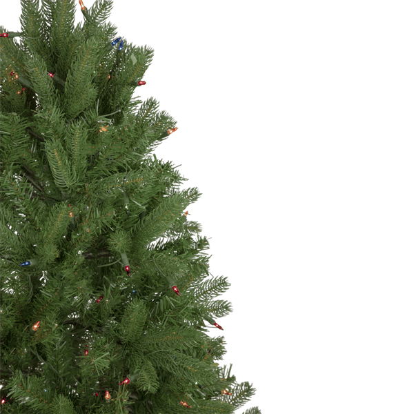 Northlight 4ft. Pre-Lit Full Sierra Noble Fir Christmas Tree
