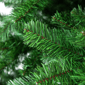 Northlight 12ft. Full Colorado Spruce Artificial Christmas Tree - image 4