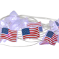 Northlight 20ct. Patriotic Americana USA Flag LED Fairy Lights - image 5