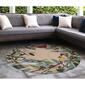Liora Manne Front Porch Bird Border Indoor/Outdoor Round Rug - image 2