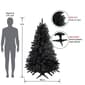 Northlight Seasonal 6ft. Black Colorado Spruce Tree - image 2