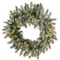 National Tree Pre-Lit 24in. Snowy Morgan Spruce Wreath - image 1
