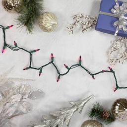 Northlight Seasonal 10ft. Purple Christmas Lights - Green Wire