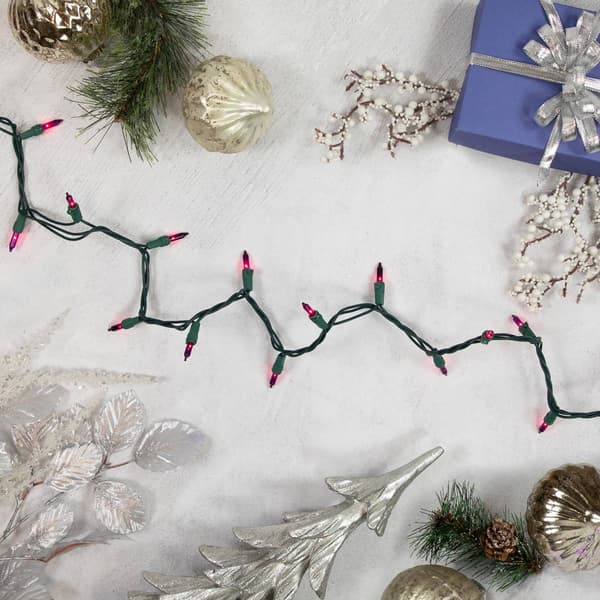 Northlight Seasonal 10ft. Purple Christmas Lights - Green Wire