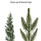 Puleo International 6ft. Pre-Lit Adorned Garland - image 6
